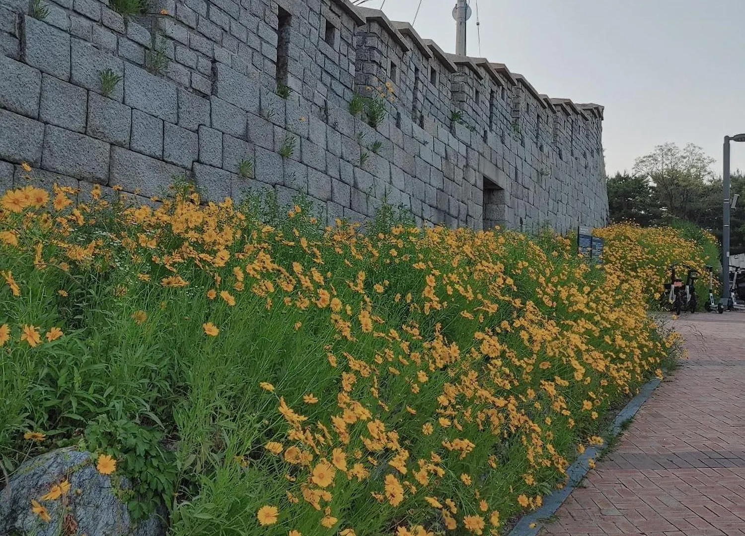 Cobe Guesthouse Dongdaemun Seoul Guest house